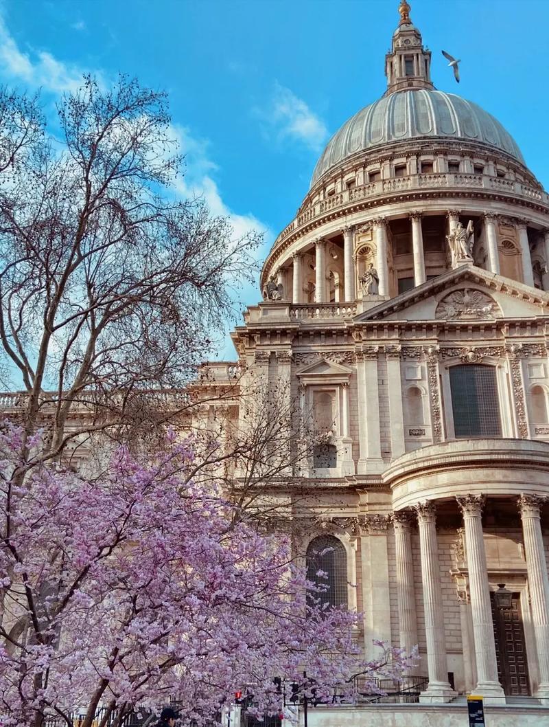 加州大学圣克鲁兹分校